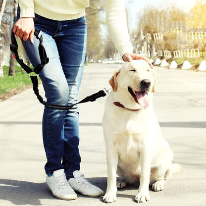 Dog Vehicle Seat Belt Rope Elastic Cushioned Towing Leash, Width: 2.5cm(Gray) by bashfashion