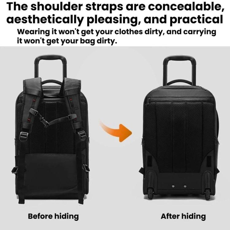 TBD06064155_B5.jpg@b45cf3a1f855e5e579ee502a5d0f123d